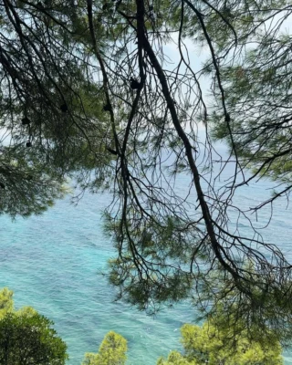 All the colours of blue 💙🩵

📍Bol, Brač

#adriatic #instatravelling #crostagram 
#bolbrač #brač #zlatnirat #seawaves #bestbeachever #beautifu